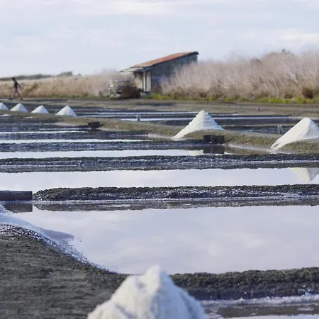 Charmante Maison Pour 8 A 800 M De La Vakantiehuis *