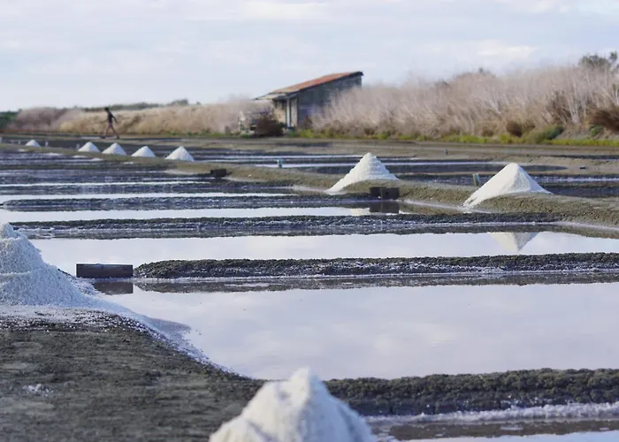 Charmante Maison Pour 8 à 800 M De La Hébergement de vacances *